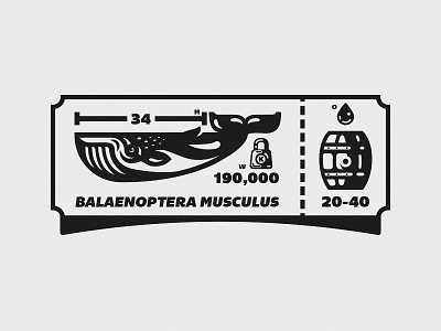 Whale Facts barrel illustration mark oil receipt ticket whale