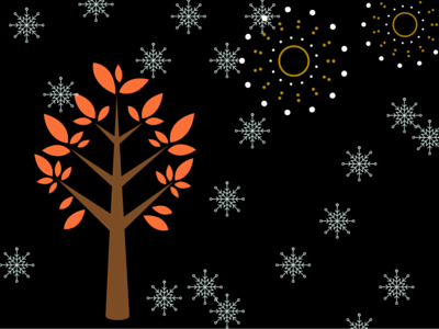 Fireworks during winter firework leaves night snow tree winter