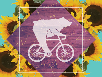 Bicycle Bear bear bicycle bike collage constellation graphic design illustration sunflower