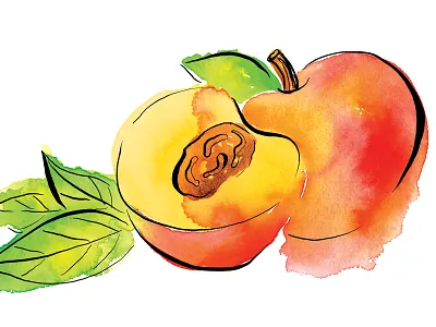Peach color colorful fruit ink leaves paint painting peach pen watercolor
