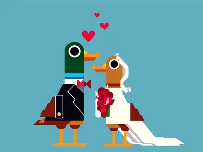 Wedding Ducks