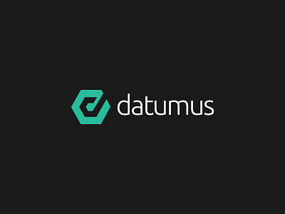 datumus clean color data design hexa logo minimalist modern new simple storage young