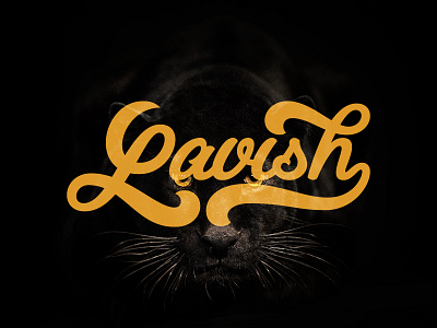 Lavish Lettering big cat handlettering lettering panther type typography