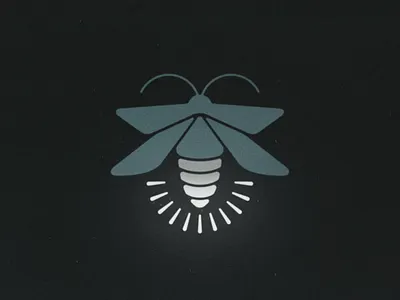 Firefly design drawing graphic design icon illustration insect