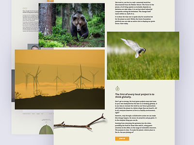 Green Foundation landing page design landing ui web webdesgin