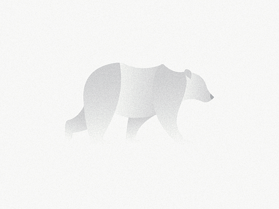 Polar Bear bear day polar snowstorm white winter