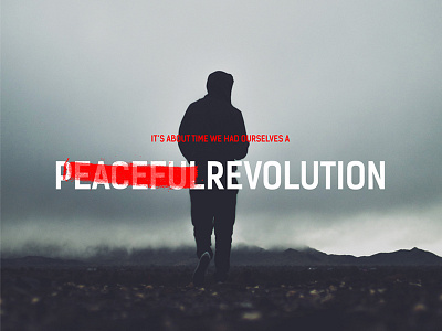 Peaceful Revolution branding brush campaign hero image identity non profit red