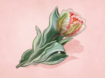 Spring Flower art design digital painting drawing flowers hand drawn handmade icon illustration painting photoshop violet