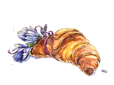 Сroissant aksinja la paloma croissant food illustration sketch watercolor