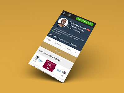 Player Page flat lebron james nba photoshop player page ui