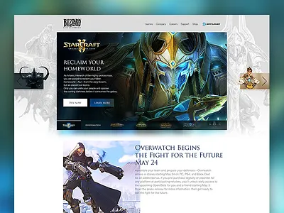 Blizzard Concept blizzard concept web