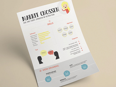 Resume curriculum vitae cv datavisualisation illustration illustrator infographic resume visual design visualisation