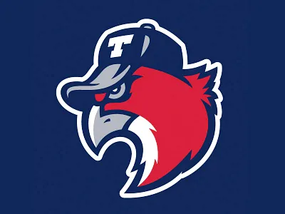 Hawks minor league baseball team logo baseball hawk hawks minor leagues