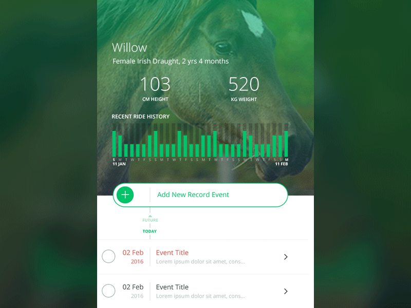 Timeline Animation for Veterinary Health Mobile Application animal animation charts health horse mobile timeline veterinary
