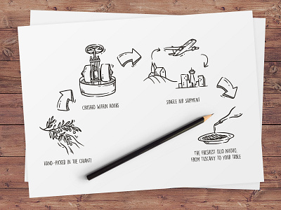 olive oil doodle doodle illustration drawing hand draw illustration oil olive