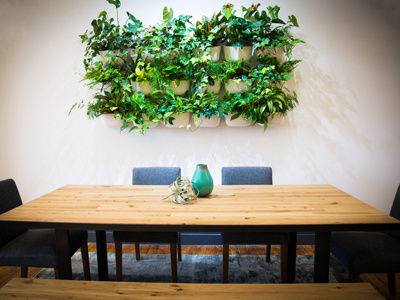 Digital Branding Office brooklyn greenwall interior design new york office design startup