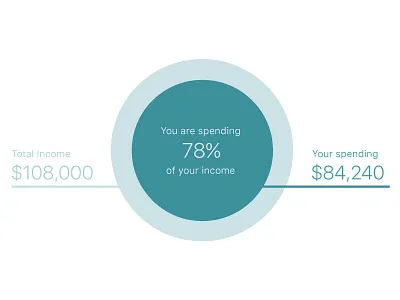 Spending tool data visualisation infographic ui ux