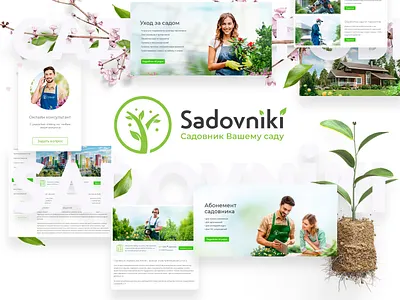 Web Page Design branding design graphic design site ui web