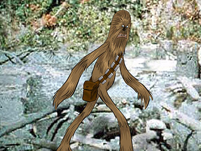 Chewbacca Bigfoot character design illustration