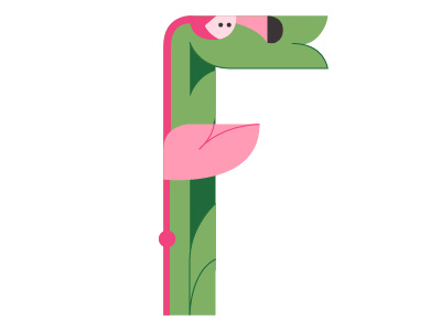 F is for Flamingo 36daysof type animal animals flat design illustration lettering minimal type