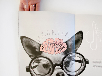 Furr Magazine dog handlettering illustration