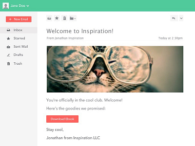 Welcome Email cat cats email inbox opt in