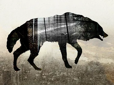 "The Wolf Will Survive" Illustration discover illustration wolf wordpress