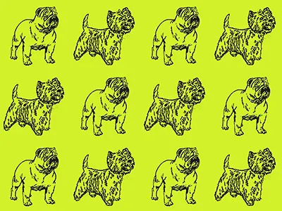 RUFF RIDERS creative design dogs fun losangeles pattern pets