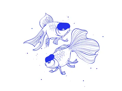 White Oranda with Red Cap fish sketch xiaoafu