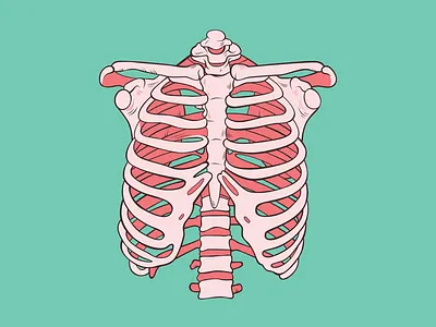 Bubble Gum Ribs digital art graphic design icon illustration illustrator ribs skeleton