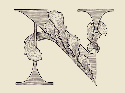 "N" 36 days of type acanthus drop cap illustration lettering