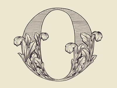 "O" 36 days of type acanthus drop cap illustration lettering