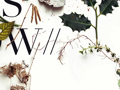 Botanical Poster Contest botanical design flora green illustration leafs nature poster print typography