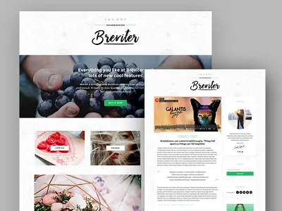 Breviter WP Blog PSD Templates download free freebie freebies psd psd templates templates theme templates wp blog wp theme