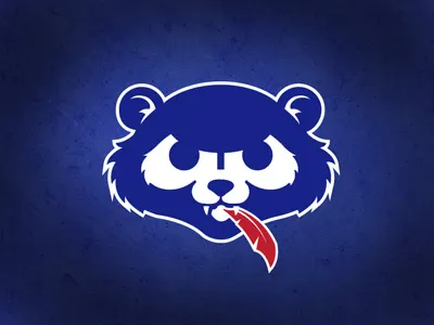 [ w ] baseball bear cardinals chicago cub cubs wrigley