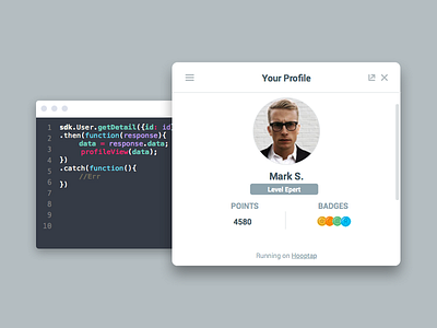 Widget Profile bage code editor mockup points profile sdk website widget