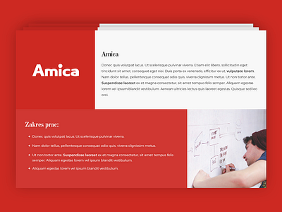 Mini Case Study Presentation case case study clients element grid portolio section square study ui web webdesign