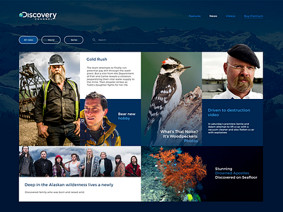 News website bear grylls design discovery channel flat interface ui ux web www