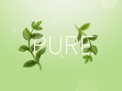 Mint illustration monochrome
