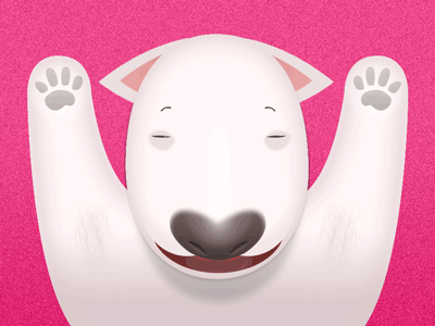 Hello Dribble bull terrier