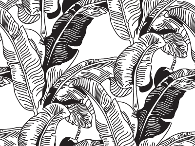 martinique coloring book illustration palms