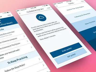Insomnia Coach iOS app health insomnia ios light mental minimal mobile ui ux va veterans