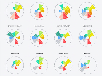 Flavor Wheels Of White Wine infographic minimal modern