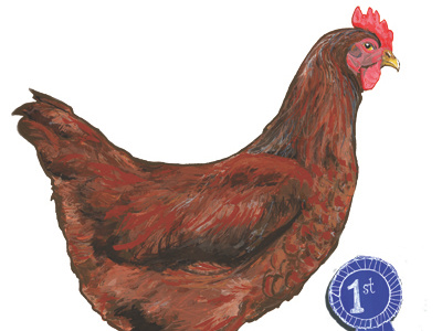 Chicken or the Egg? chicken humor illustration painting science