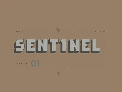 Sentinel 02 brown location lockup typography