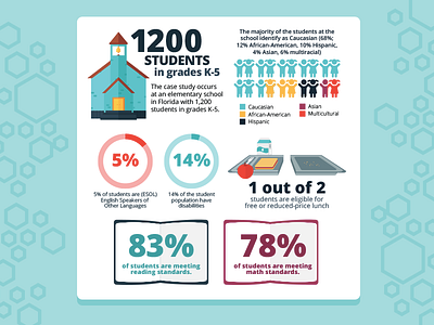 Case Study Infographics flat illustration infographic