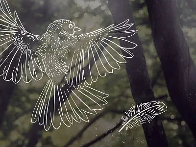 Uncharted - Bird illustration photography