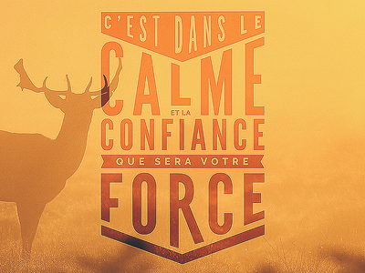 Typographic verse deer topographic unsplash verse