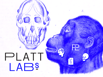 ¶ √ Á † † ||≈ Å ]3 $ lab monkey science skull