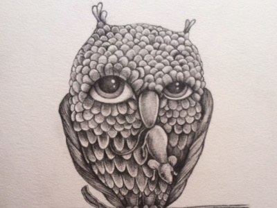 the owl and the mouse drawing pencil